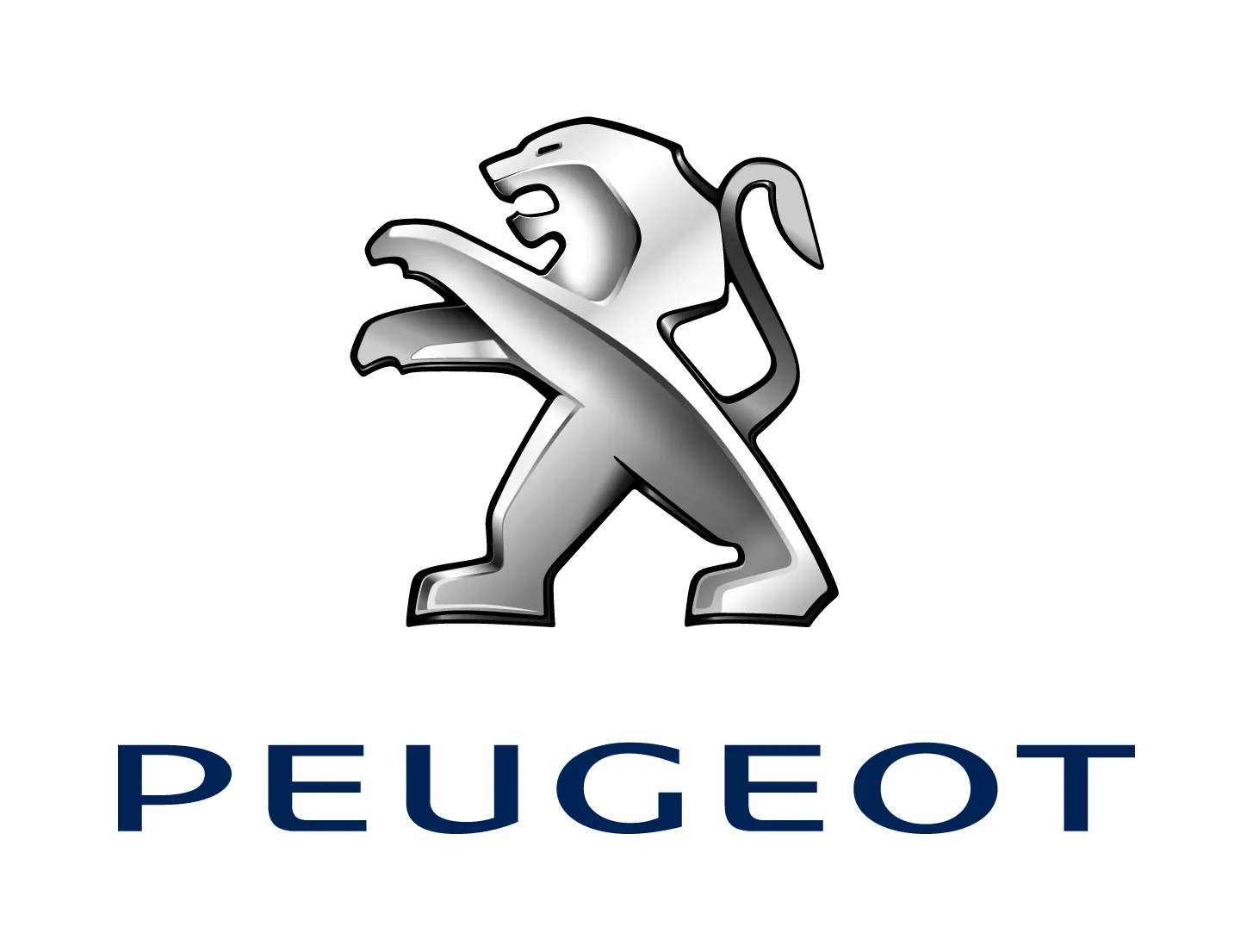 Peugeot Oto Beyin Tamiri